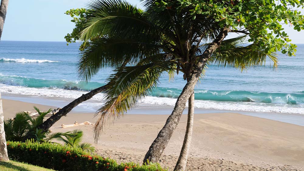 Why more Canadians are choosing to live in Costa Rica