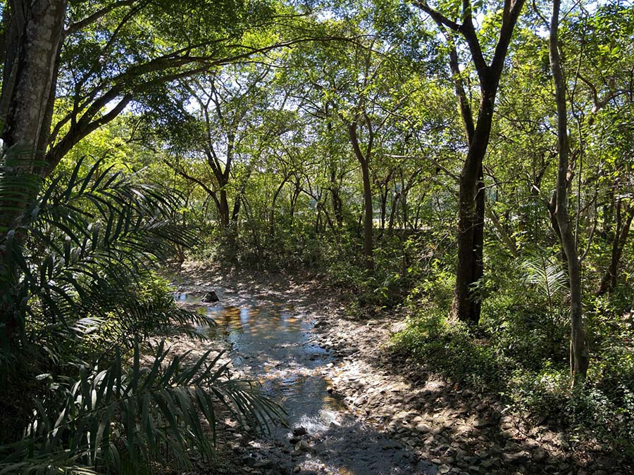 A golfer's paradise - Tambor Costa Rica