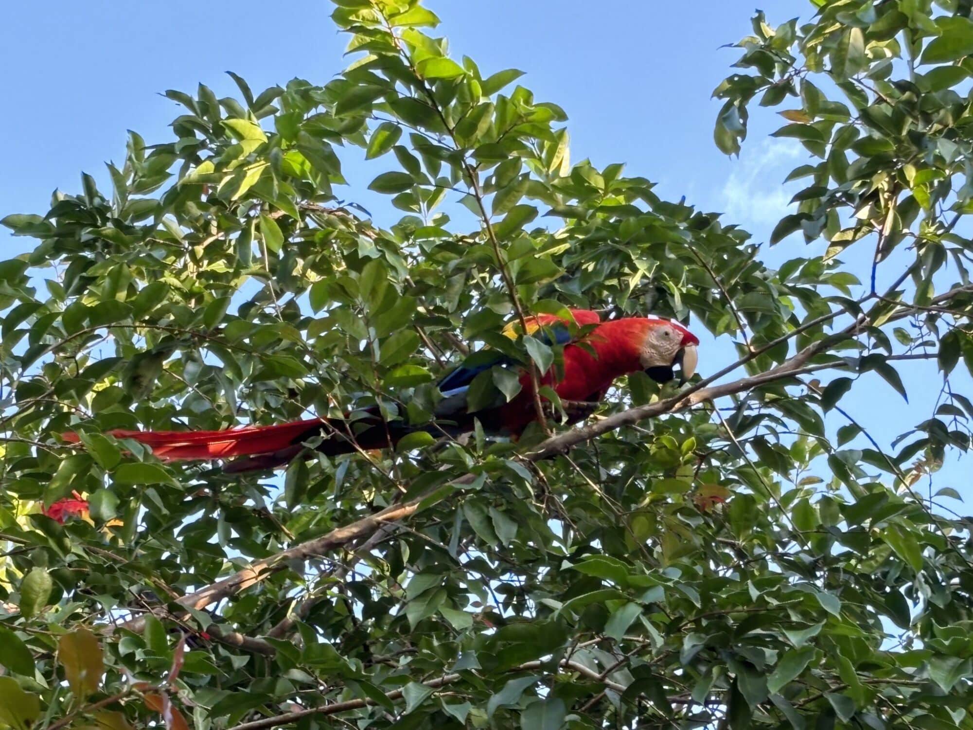 A nature lover's dream